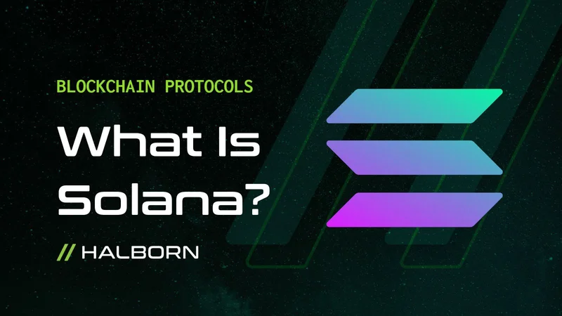 Solana: Upexi's holdings, founder's focus, and a price crash